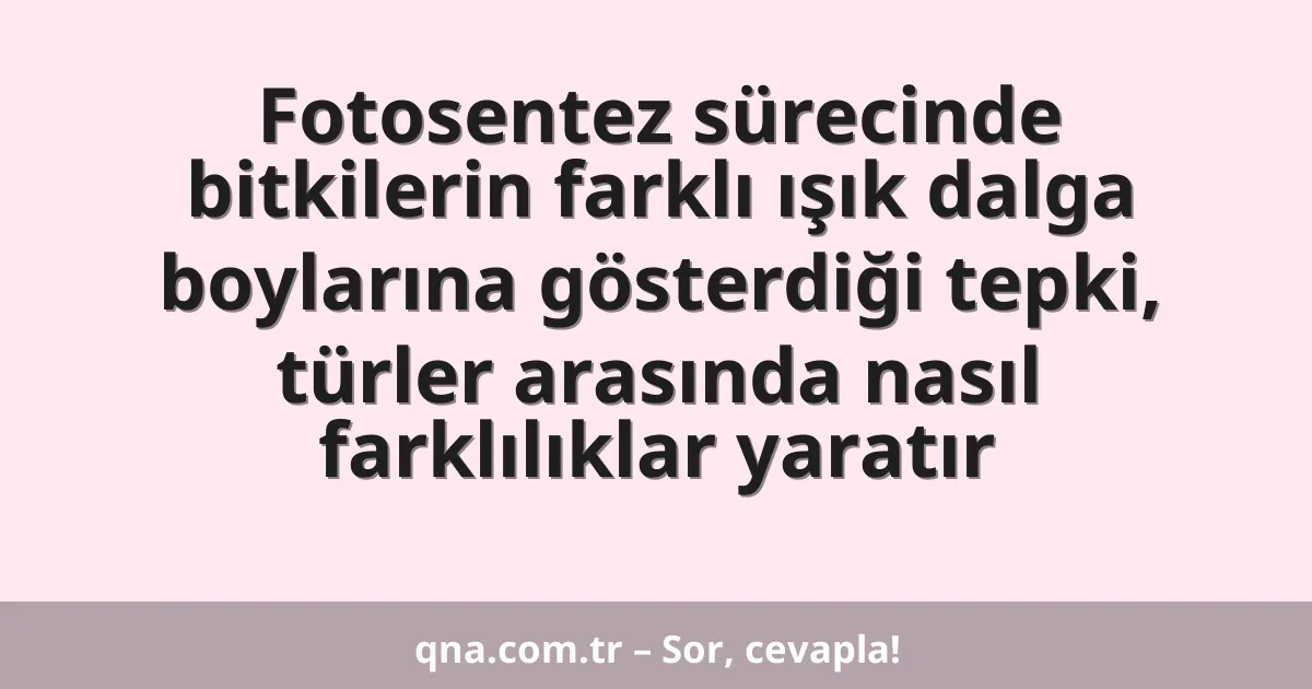 Fotosentez sürecinde bitkilerin farklı ışık dalga boylarına gösterdiği tepki, türler arasında nasıl farklılıklar yaratır