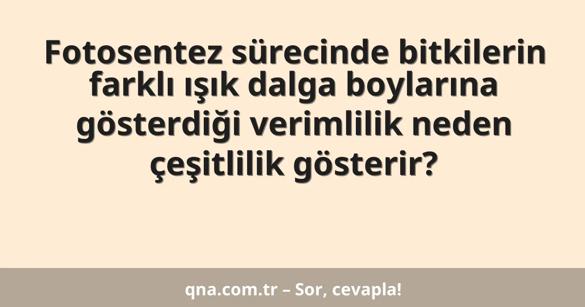 Fotosentez sürecinde bitkilerin farklı ışık dalga boylarına gösterdiği verimlilik neden çeşitlilik gösterir?