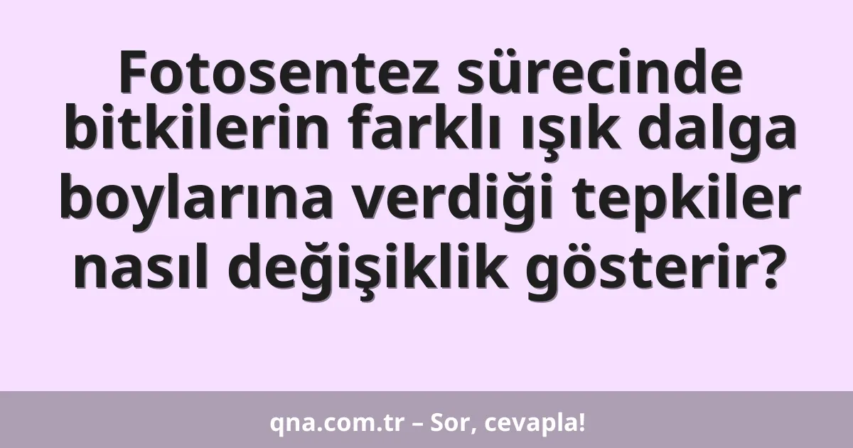 Fotosentez sürecinde bitkilerin farklı ışık dalga boylarına verdiği tepkiler nasıl değişiklik gösterir?