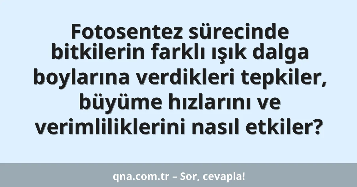 Fotosentez sürecinde bitkilerin farklı ışık dalga boylarına verdikleri tepkiler, büyüme hızlarını ve verimliliklerini nasıl etkiler?
