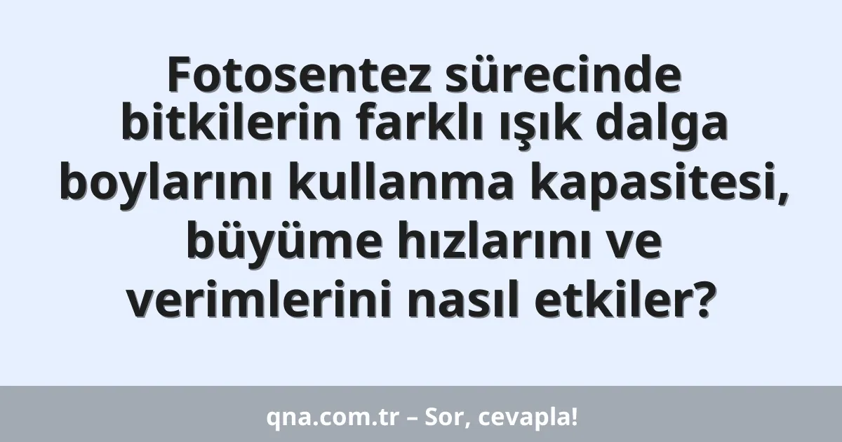 Fotosentez sürecinde bitkilerin farklı ışık dalga boylarını kullanma kapasitesi, büyüme hızlarını ve verimlerini nasıl etkiler?