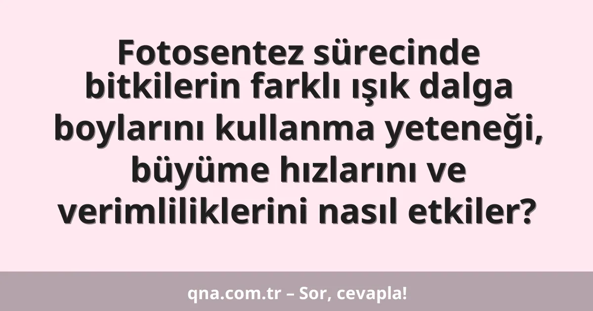 Fotosentez sürecinde bitkilerin farklı ışık dalga boylarını kullanma yeteneği, büyüme hızlarını ve verimliliklerini nasıl etkiler?