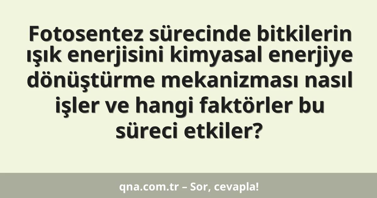 Fotosentez sürecinde bitkilerin ışık enerjisini kimyasal enerjiye dönüştürme mekanizması nasıl işler ve hangi faktörler bu süreci etkiler?