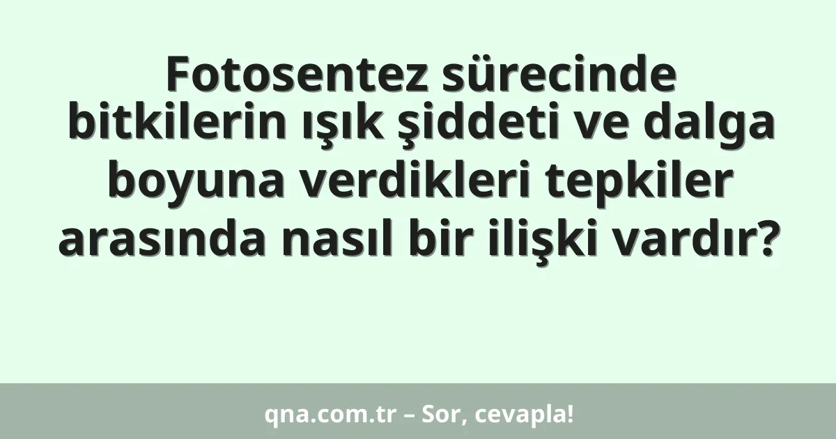 Fotosentez sürecinde bitkilerin ışık şiddeti ve dalga boyuna verdikleri tepkiler arasında nasıl bir ilişki vardır?