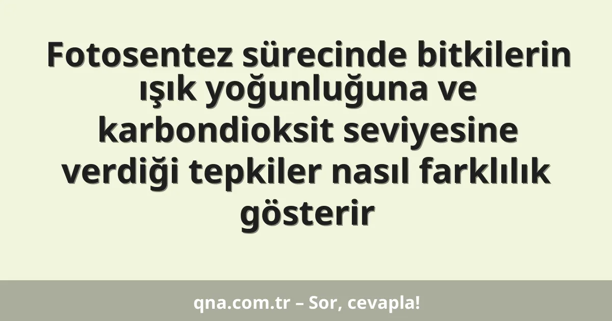Fotosentez sürecinde bitkilerin ışık yoğunluğuna ve karbondioksit seviyesine verdiği tepkiler nasıl farklılık gösterir