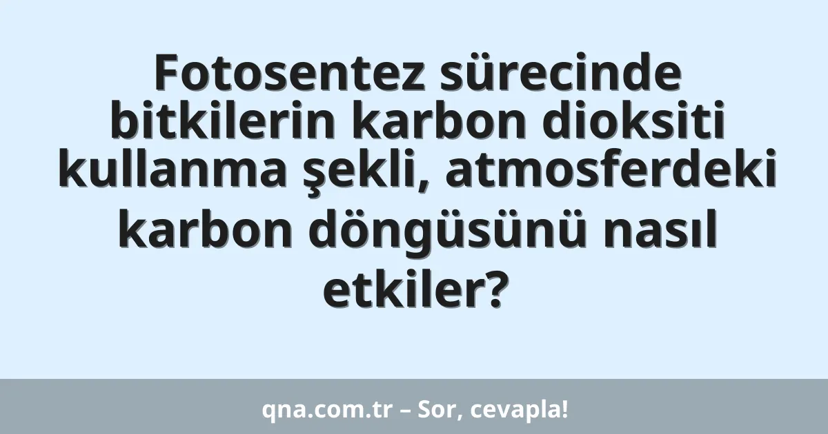 Fotosentez sürecinde bitkilerin karbon dioksiti kullanma şekli, atmosferdeki karbon döngüsünü nasıl etkiler?