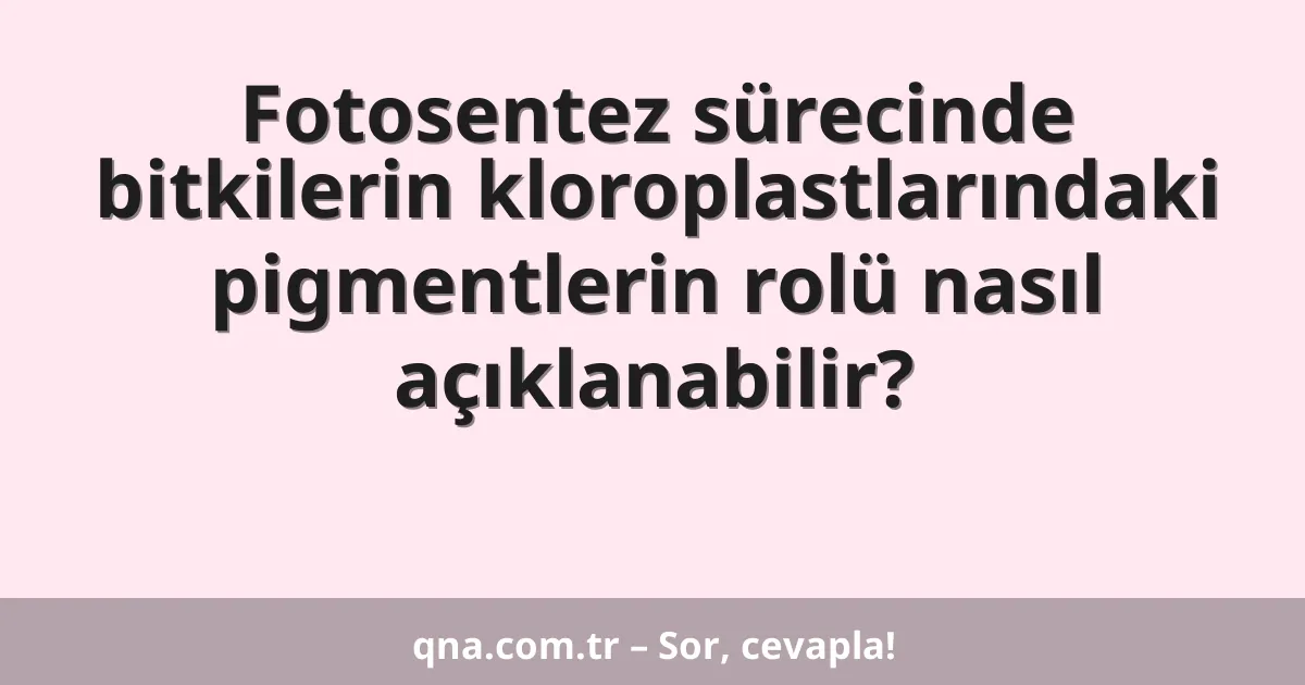 Fotosentez sürecinde bitkilerin kloroplastlarındaki pigmentlerin rolü nasıl açıklanabilir?