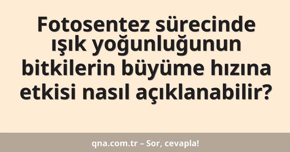 Fotosentez sürecinde ışık yoğunluğunun bitkilerin büyüme hızına etkisi nasıl açıklanabilir?