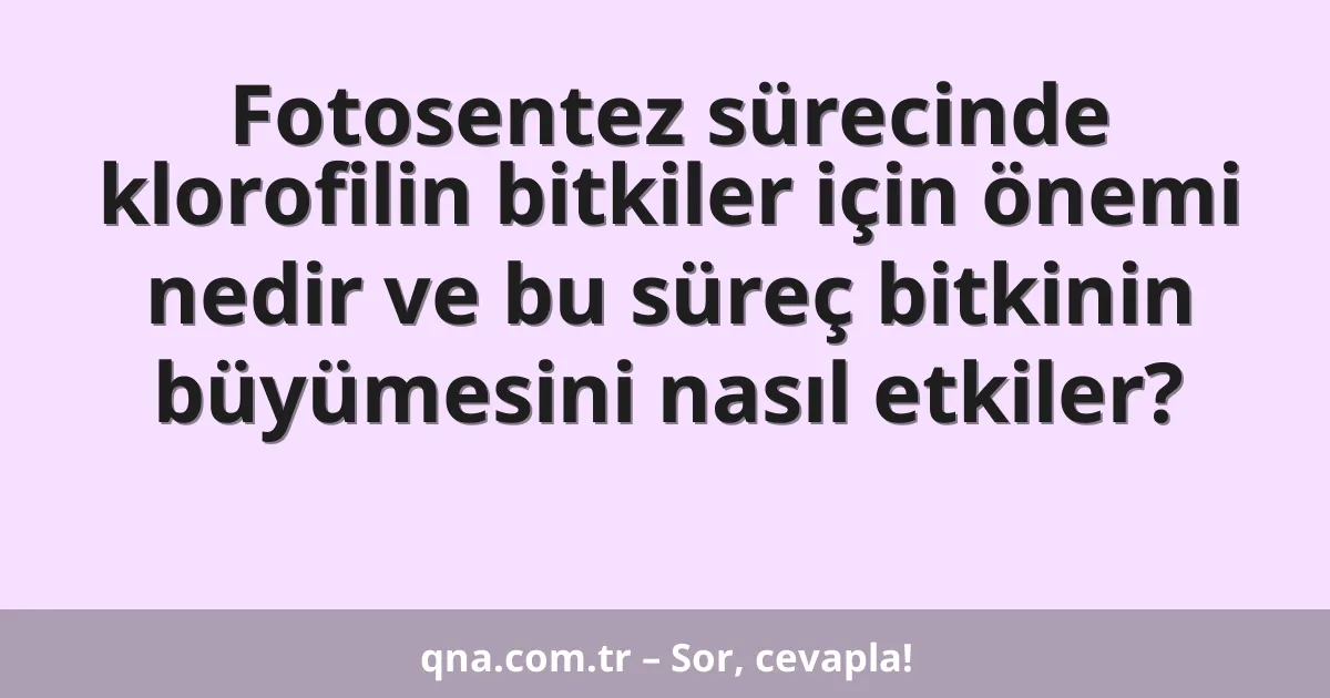 Fotosentez sürecinde klorofilin bitkiler için önemi nedir ve bu süreç bitkinin büyümesini nasıl etkiler?