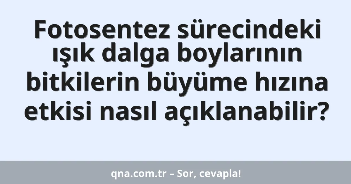 Fotosentez sürecindeki ışık dalga boylarının bitkilerin büyüme hızına etkisi nasıl açıklanabilir?