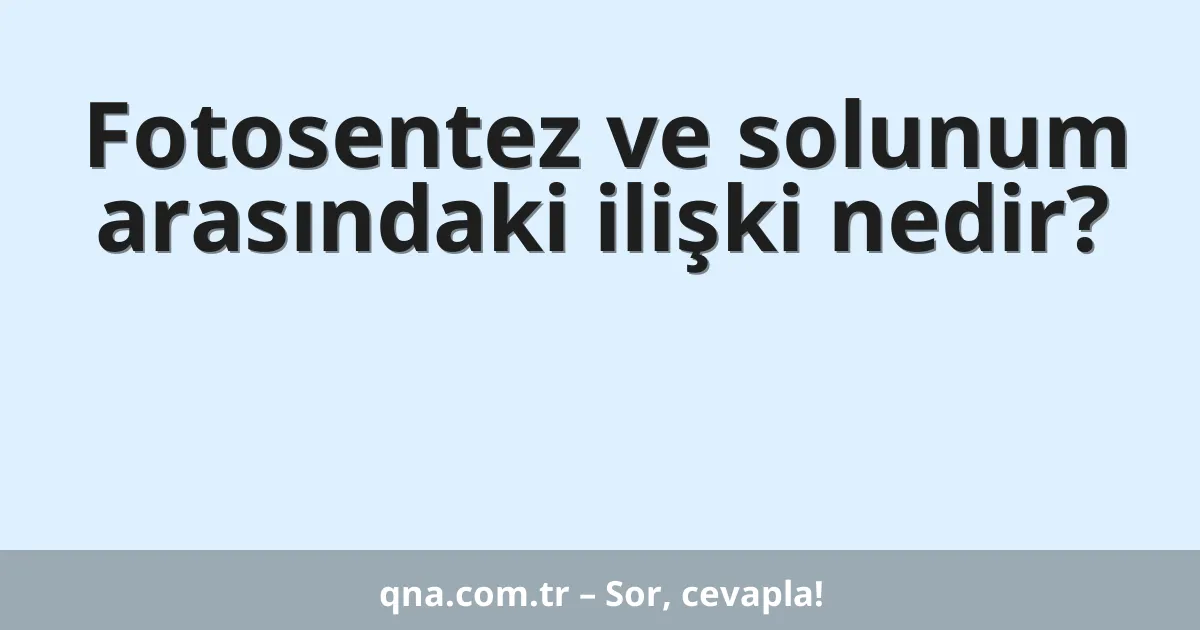 Fotosentez ve solunum arasındaki ilişki nedir?