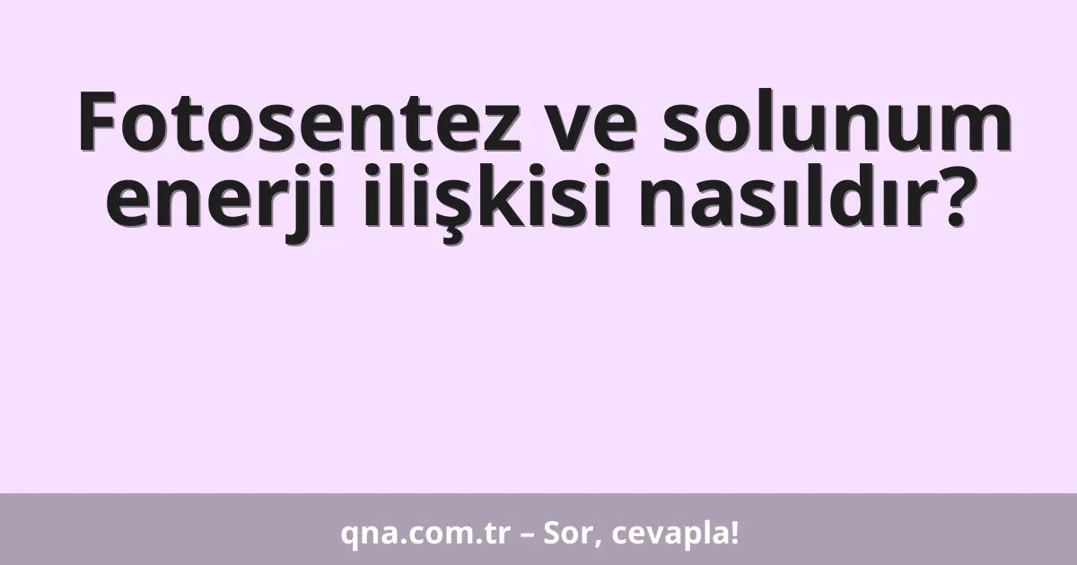 Fotosentez ve solunum enerji ilişkisi nasıldır?