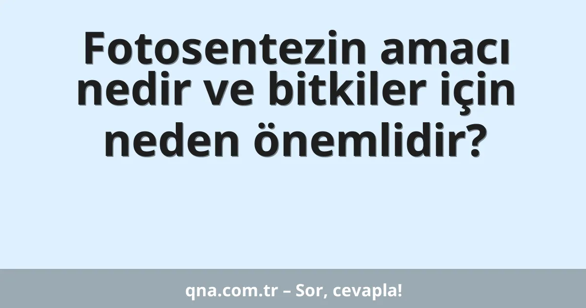 Fotosentezin amacı nedir ve bitkiler için neden önemlidir?