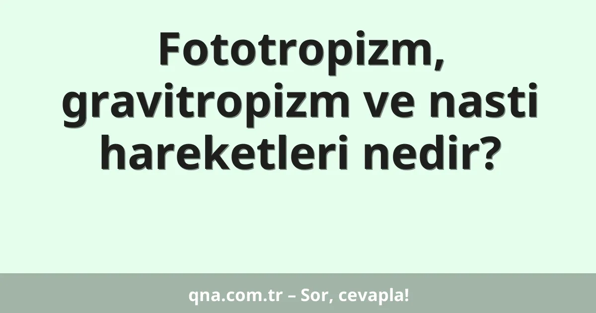 Fototropizm, gravitropizm ve nasti hareketleri nedir?