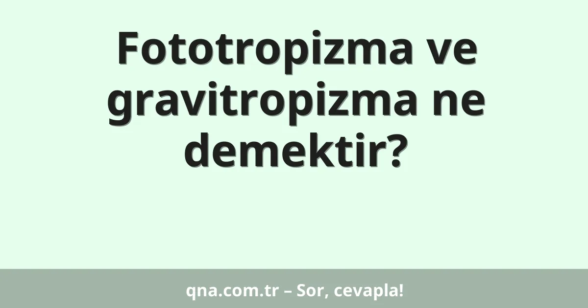 Fototropizma ve gravitropizma ne demektir?