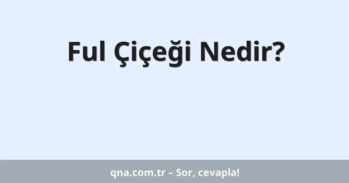 Ful Çiçeği Nedir?