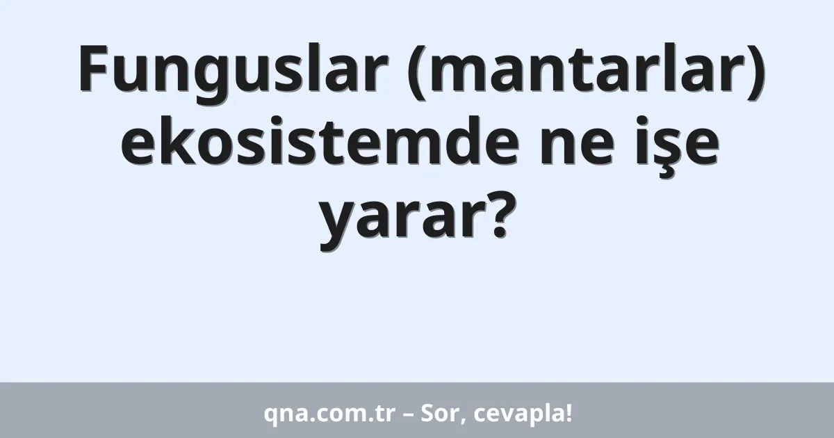 Funguslar (mantarlar) ekosistemde ne işe yarar?