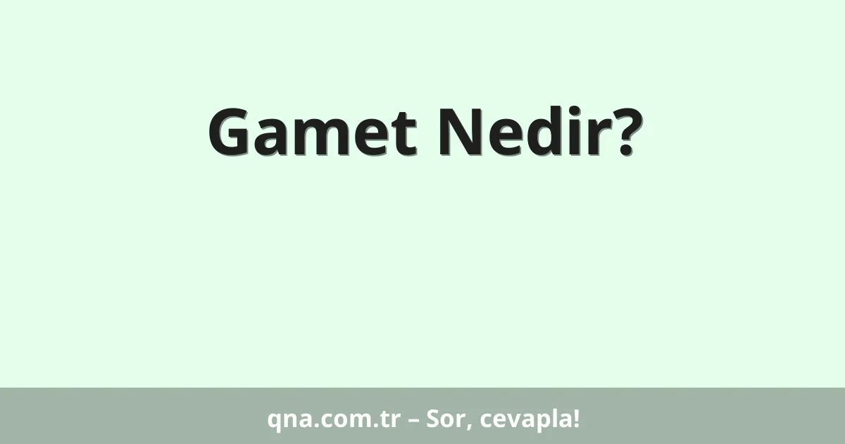 Gamet Nedir?