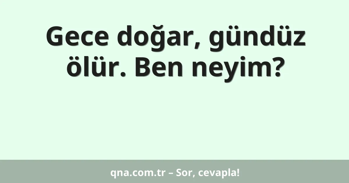 Gece doğar, gündüz ölür. Ben neyim?