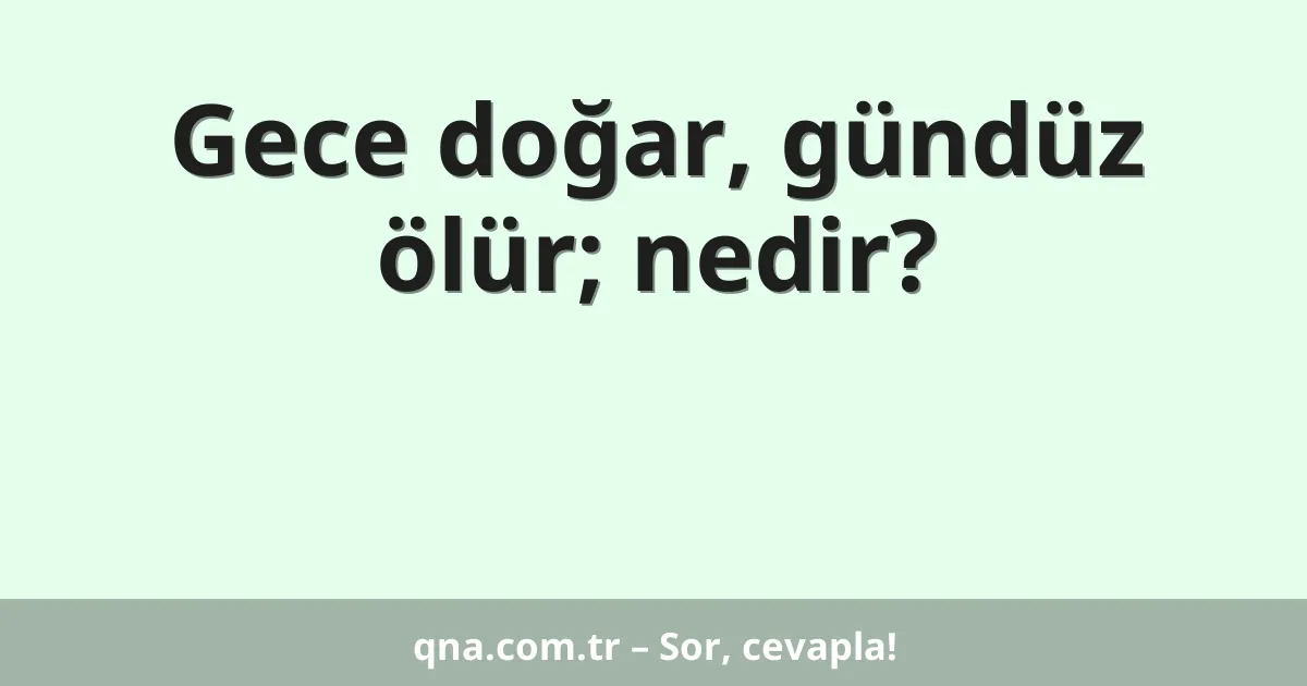 Gece doğar, gündüz ölür; nedir?