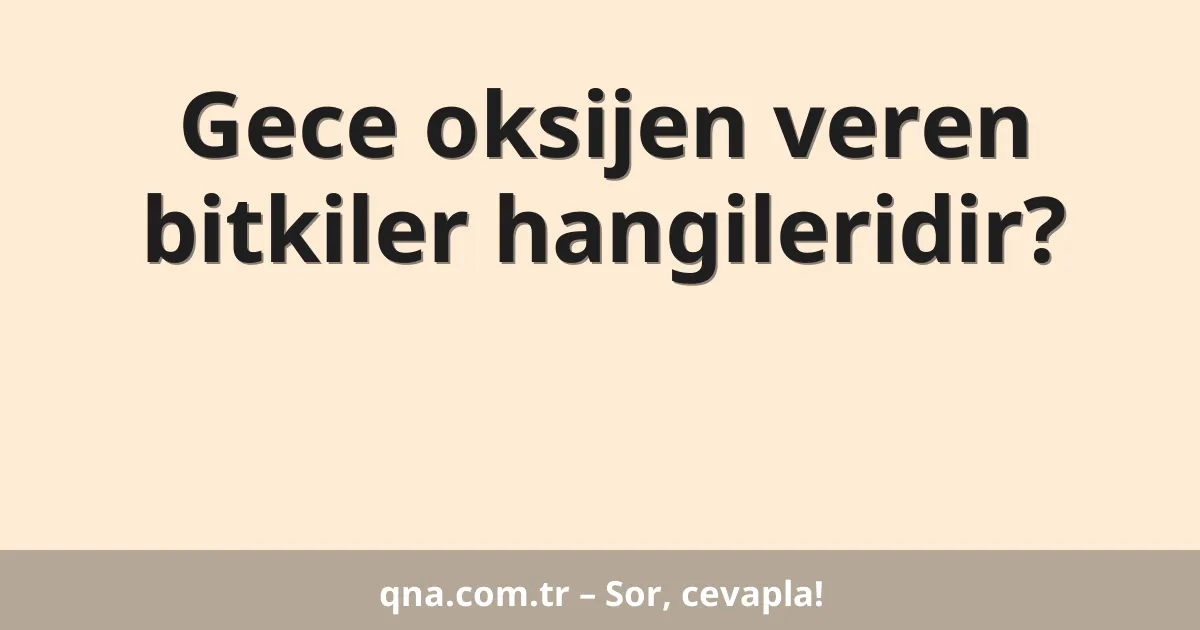 Gece oksijen veren bitkiler hangileridir?