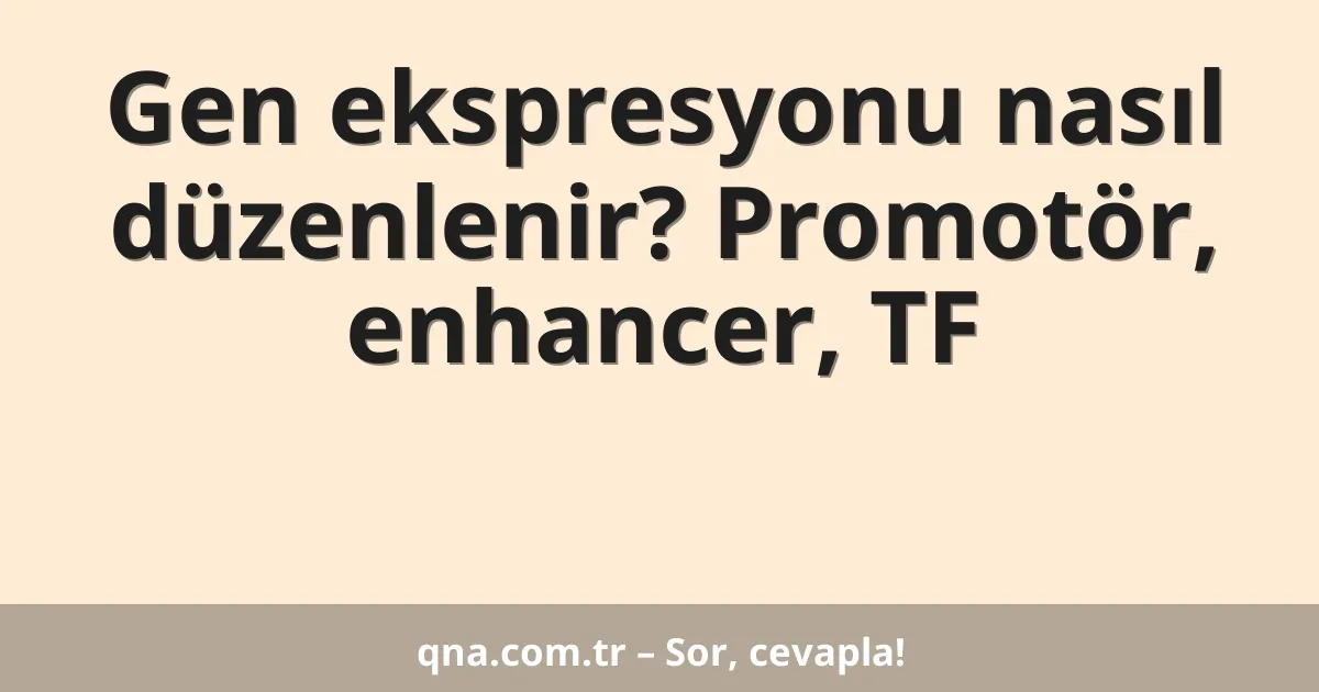Gen ekspresyonu nasıl düzenlenir? Promotör, enhancer, TF