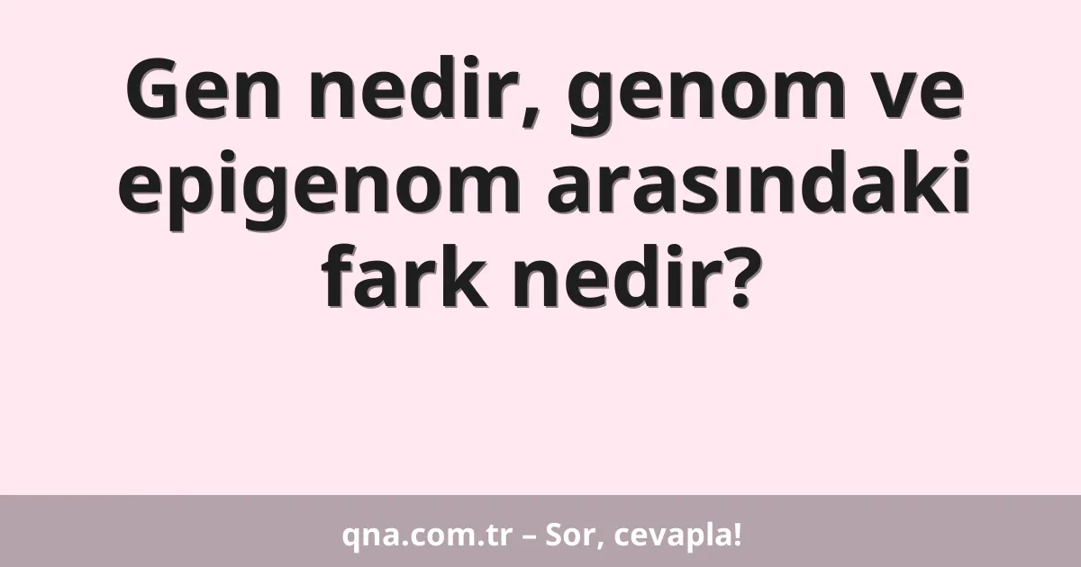 Gen nedir, genom ve epigenom arasındaki fark nedir?
