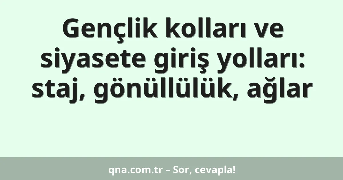 Gençlik kolları ve siyasete giriş yolları: staj, gönüllülük, ağlar