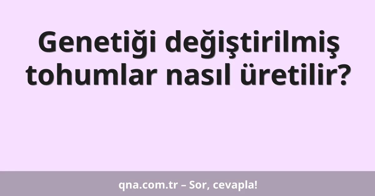 Genetiği değiştirilmiş tohumlar nasıl üretilir?