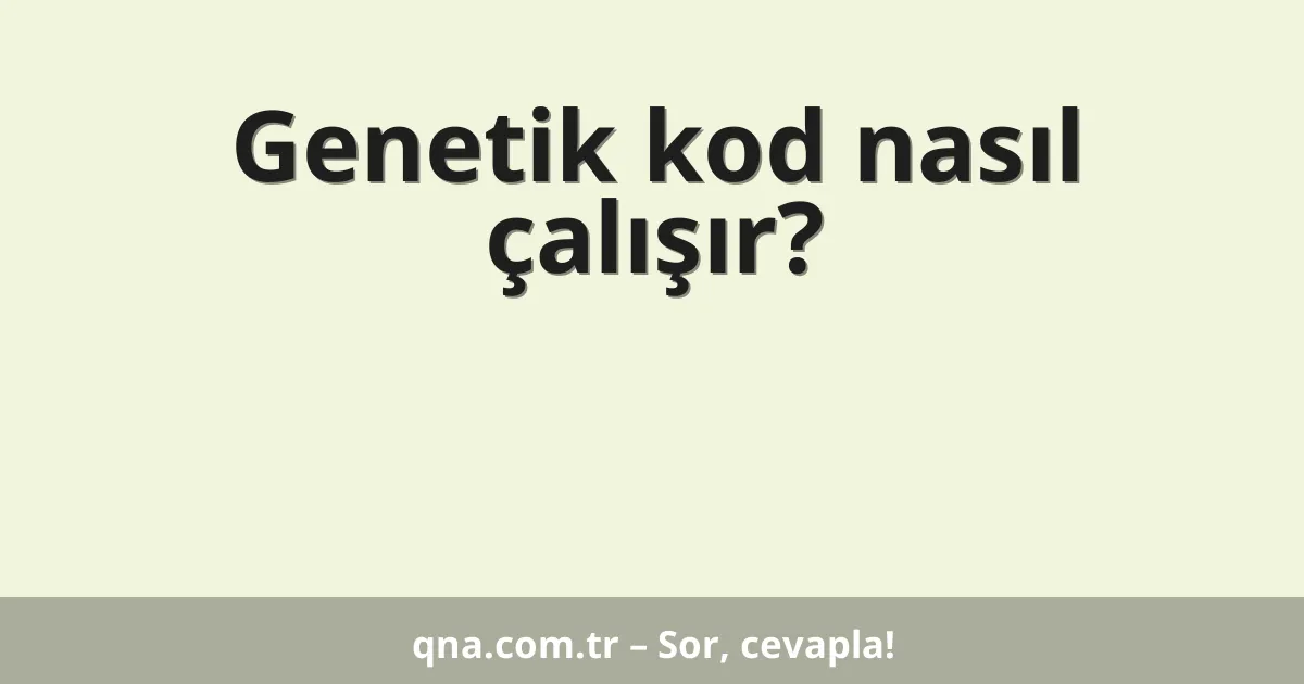 Genetik kod nasıl çalışır?