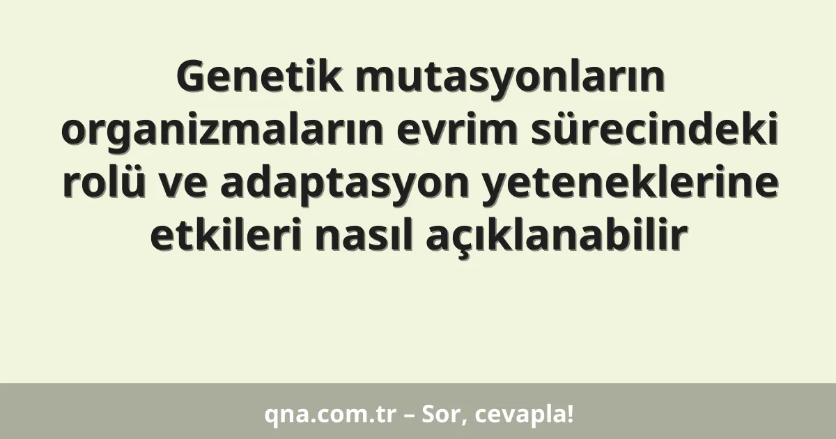Genetik mutasyonların organizmaların evrim sürecindeki rolü ve adaptasyon yeteneklerine etkileri nasıl açıklanabilir