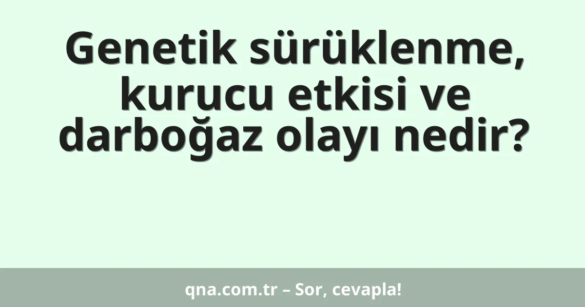 Genetik sürüklenme, kurucu etkisi ve darboğaz olayı nedir?