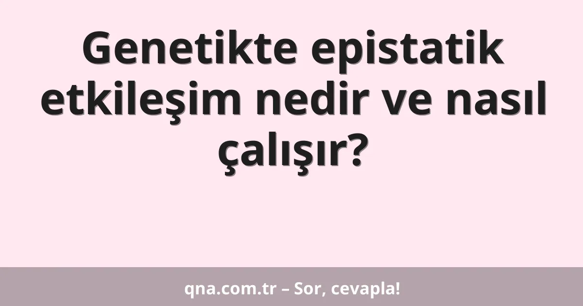 Genetikte epistatik etkileşim nedir ve nasıl çalışır?