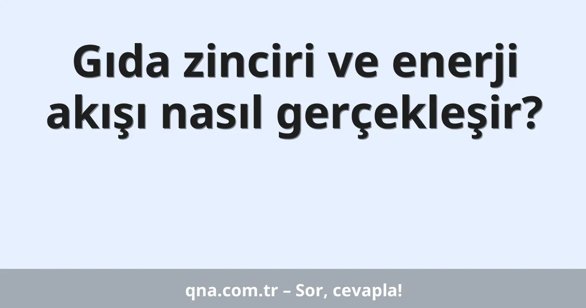 Gıda zinciri ve enerji akışı nasıl gerçekleşir?