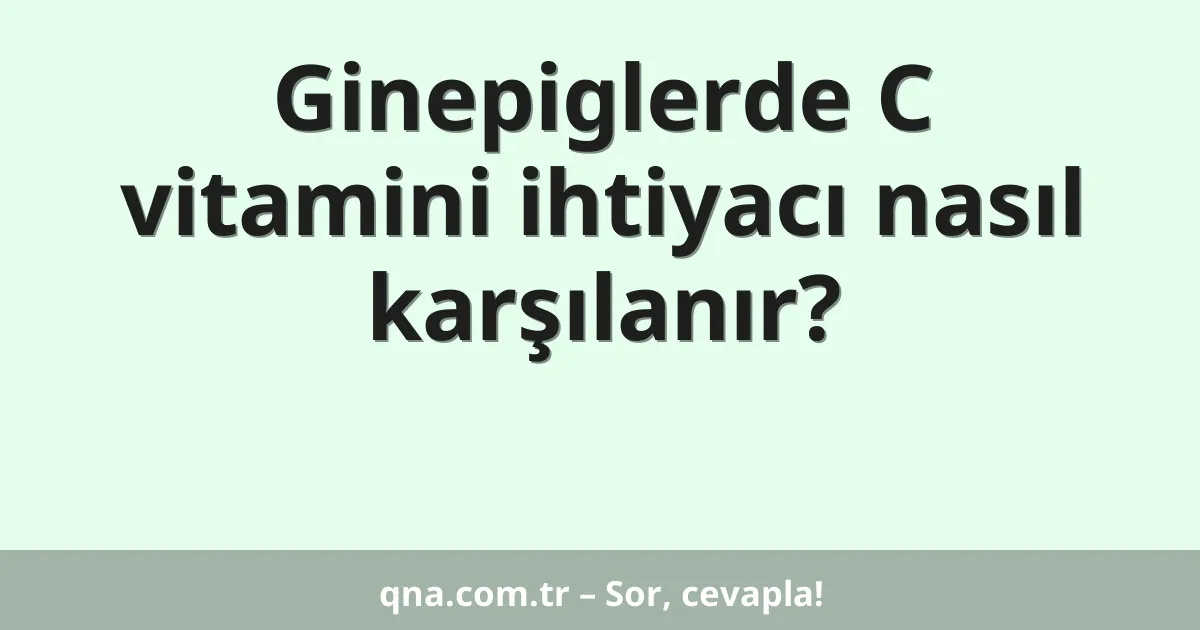 Ginepiglerde C vitamini ihtiyacı nasıl karşılanır?