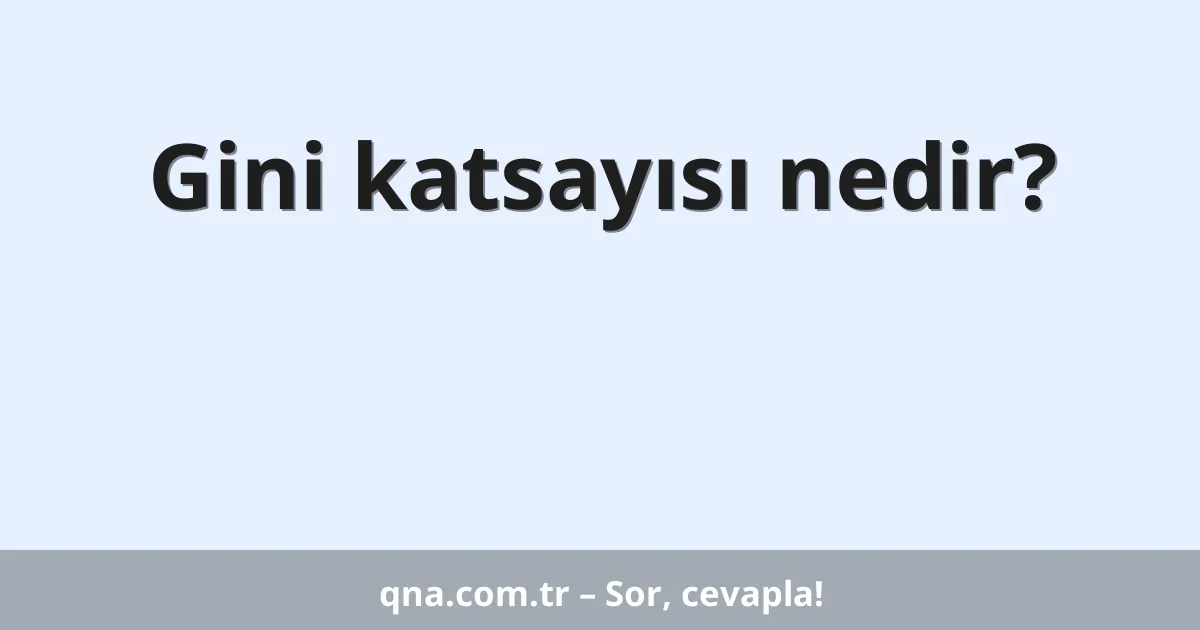 Gini katsayısı nedir?