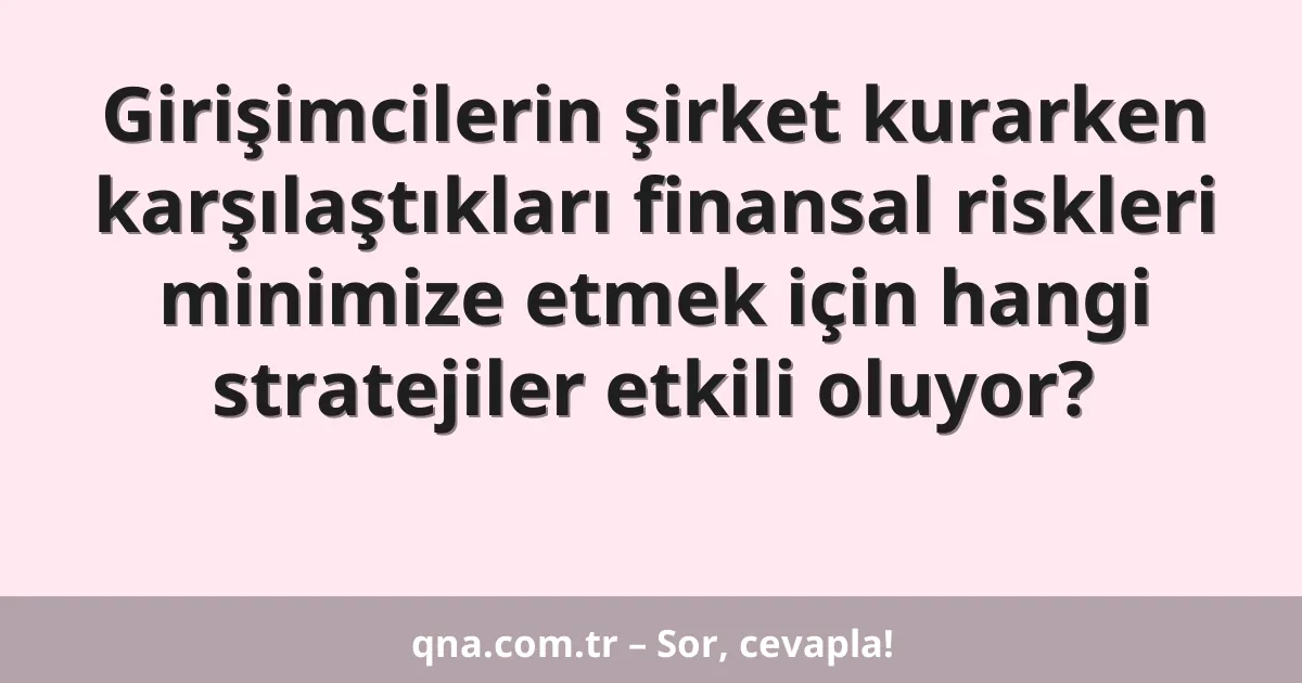 Girişimcilerin şirket kurarken karşılaştıkları finansal riskleri minimize etmek için hangi stratejiler etkili oluyor?
