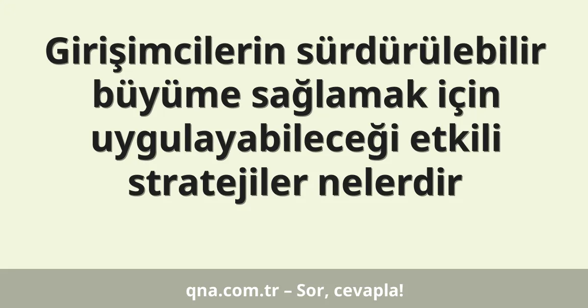 Girişimcilerin sürdürülebilir büyüme sağlamak için uygulayabileceği etkili stratejiler nelerdir