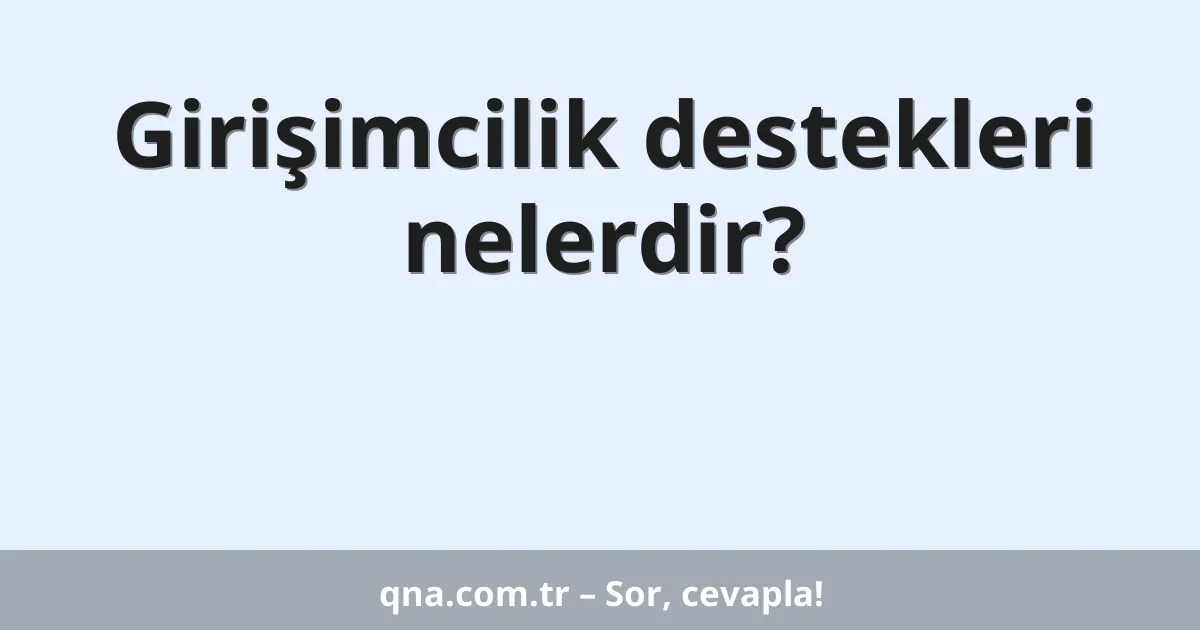Girişimcilik destekleri nelerdir?