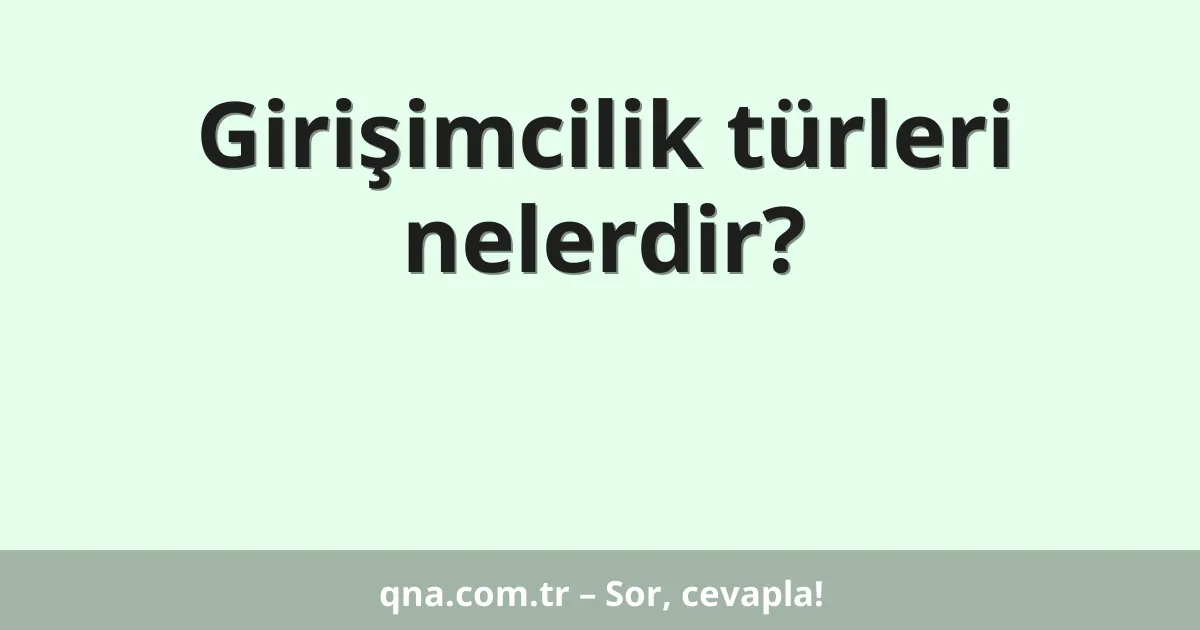 Girişimcilik türleri nelerdir?