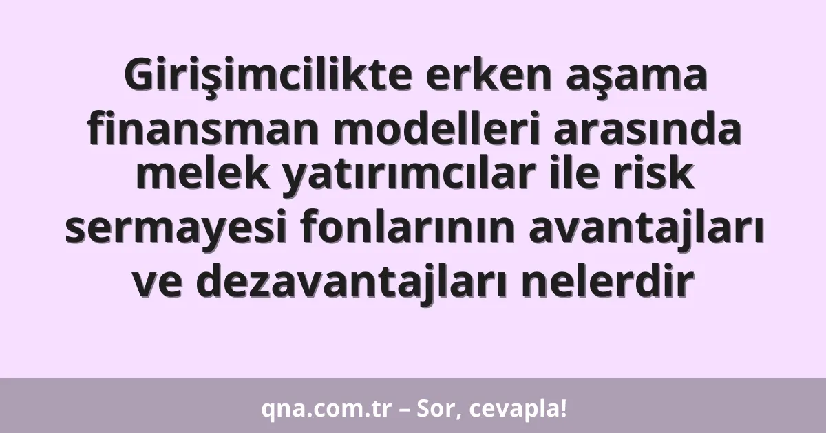 Girişimcilikte erken aşama finansman modelleri arasında melek yatırımcılar ile risk sermayesi fonlarının avantajları ve dezavantajları nelerdir
