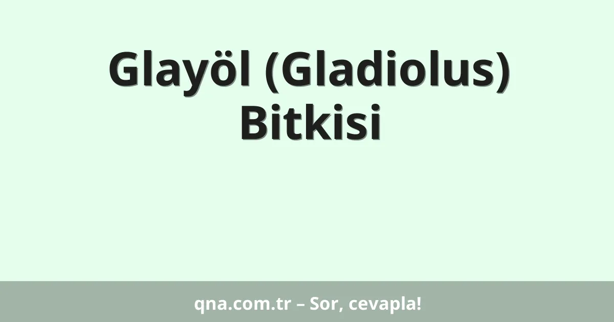 Glayöl (Gladiolus) Bitkisi