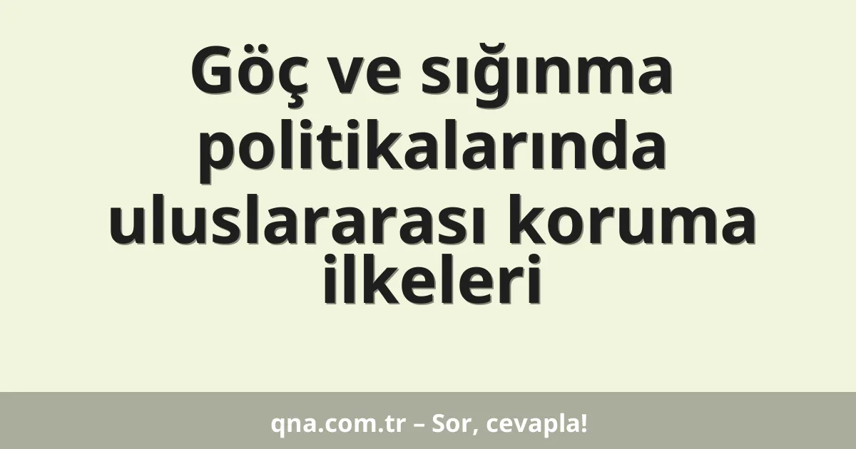 Göç ve sığınma politikalarında uluslararası koruma ilkeleri