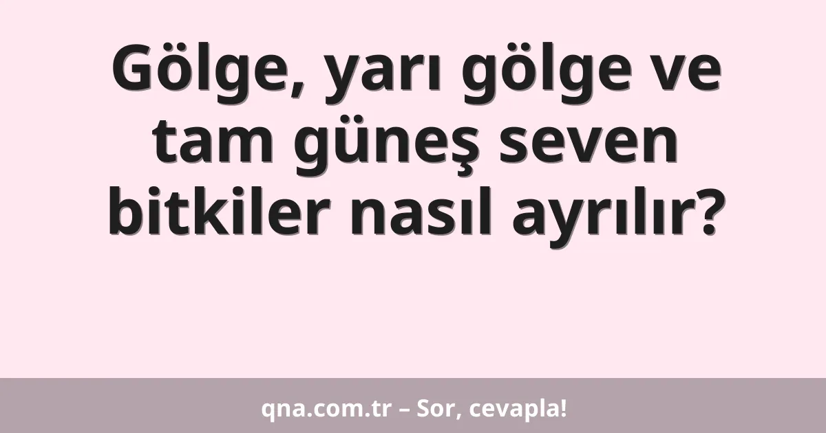 Gölge, yarı gölge ve tam güneş seven bitkiler nasıl ayrılır?
