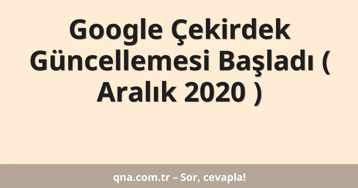 Google Çekirdek Güncellemesi Başladı ( Aralık 2020 )