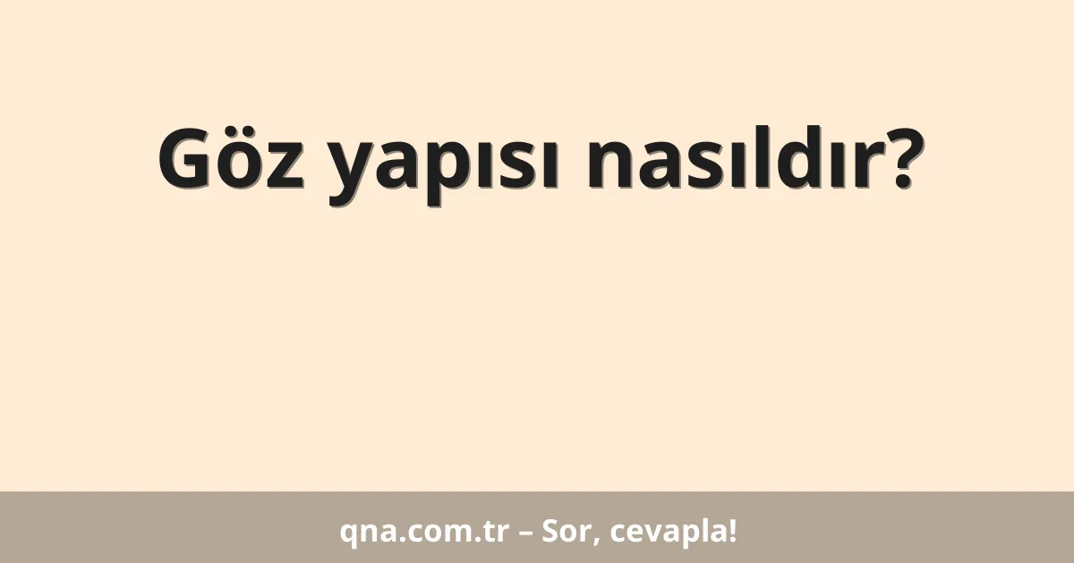 Göz yapısı nasıldır?