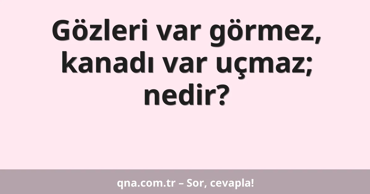 Gözleri var görmez, kanadı var uçmaz; nedir?