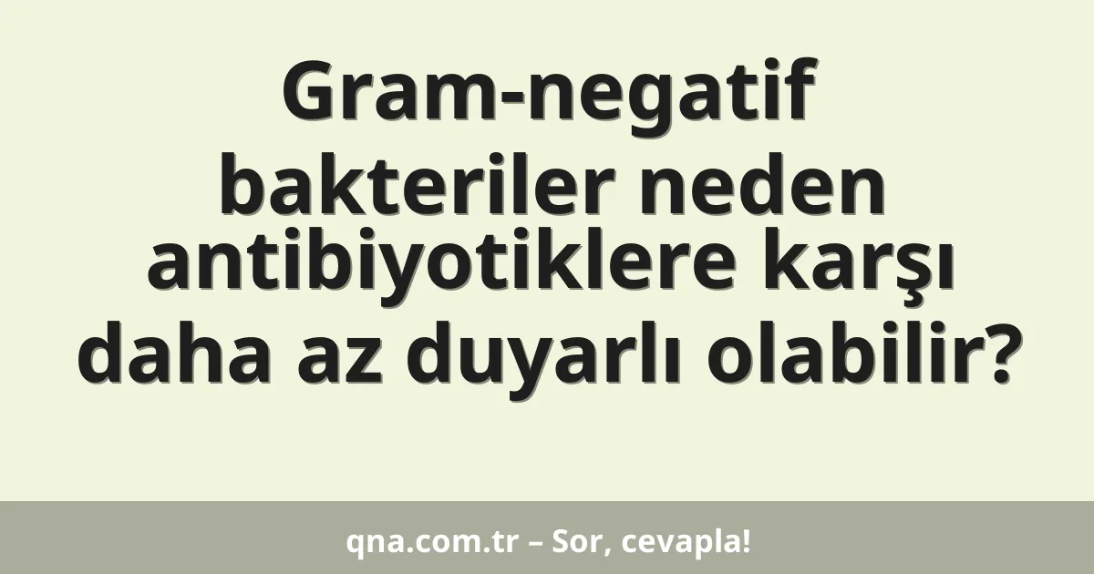 Gram-negatif bakteriler neden antibiyotiklere karşı daha az duyarlı olabilir?