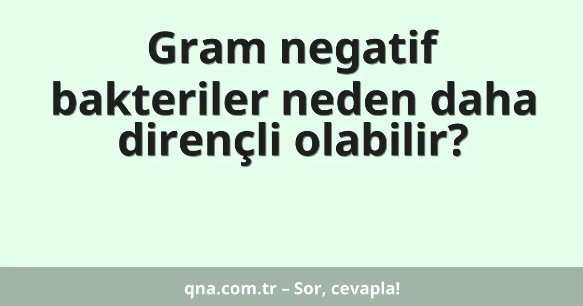 Gram negatif bakteriler neden daha dirençli olabilir?