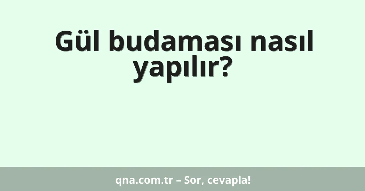 Gül budaması nasıl yapılır?